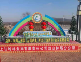 一条街活动照片 (1).png