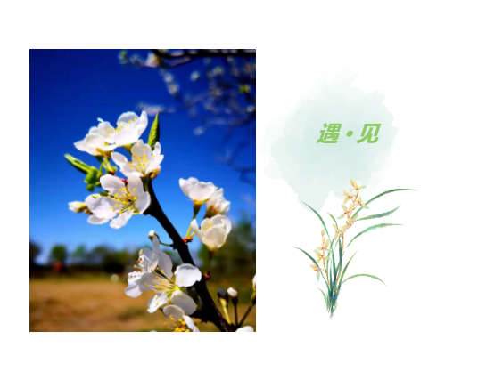 2345截图20230411140532.png