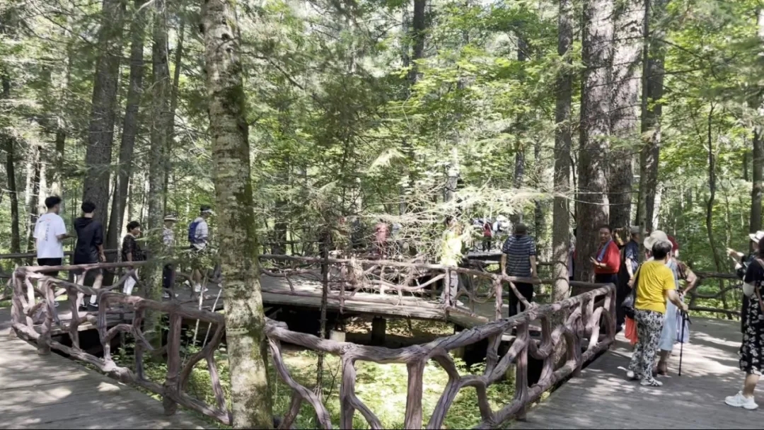 be739d2dff0d5441b9d1b4b42c2824e.jpg be739d2dff0d5441b9d1b4b42c2824e.jpg