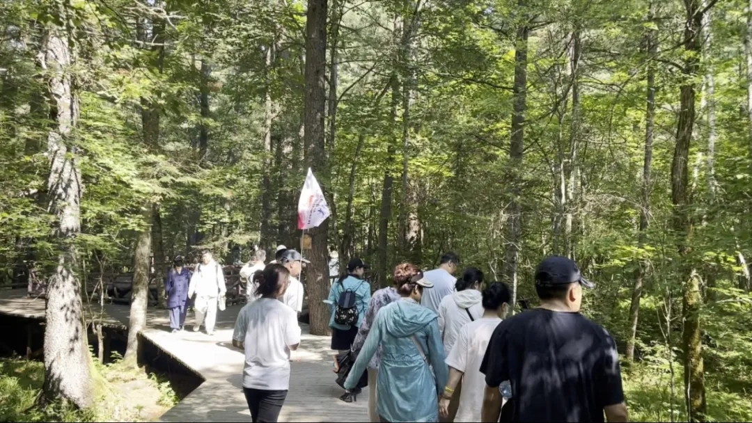 ce79ac0ab20873b0771dfa35dcba788.jpg ce79ac0ab20873b0771dfa35dcba788.jpg