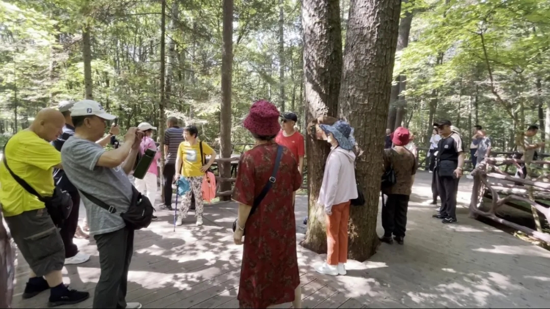 876d243a65de3594801e22ab4b1e0ea.jpg 876d243a65de3594801e22ab4b1e0ea.jpg