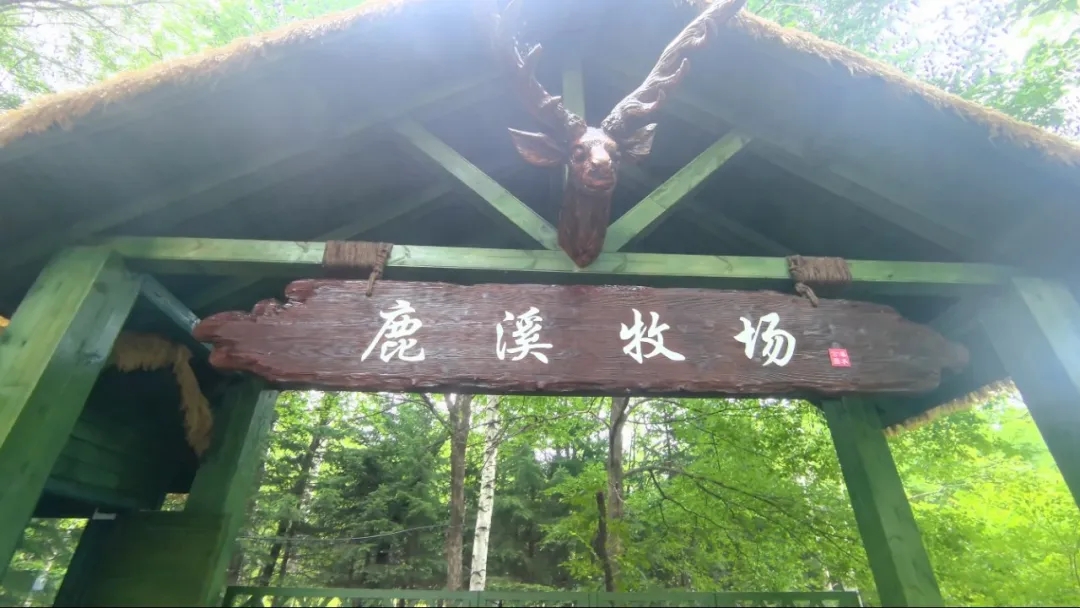d2d196b186056c5953568f4c43ca6e78.jpg