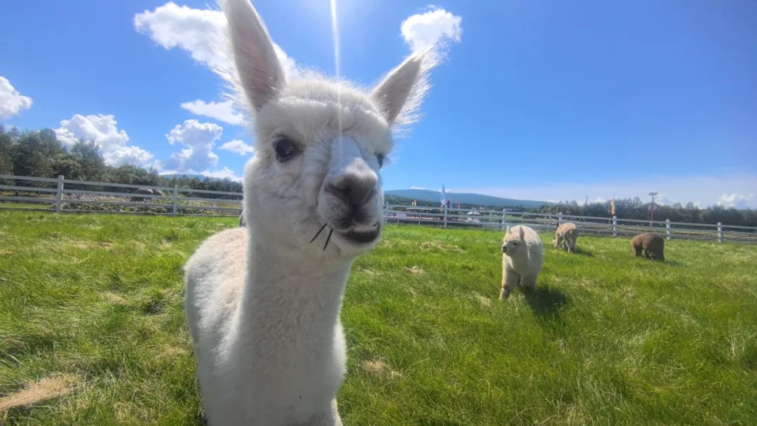 5f3eeb2a63f8d531e18704a1363e0532.jpg 5f3eeb2a63f8d531e18704a1363e0532.jpg