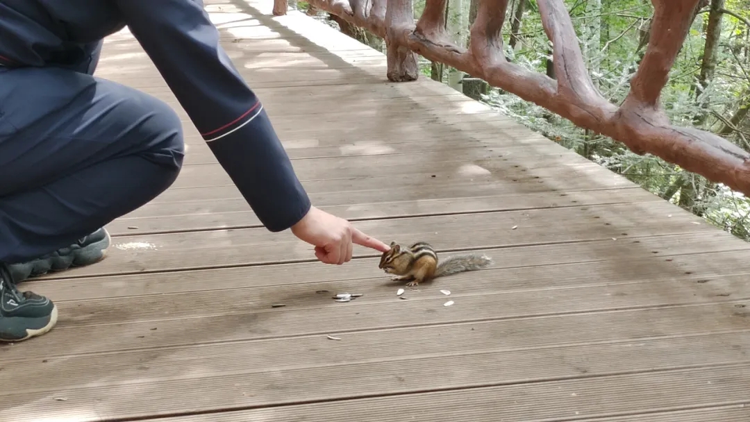 c4f4e9698624160f1cbf83f44890239f.jpg c4f4e9698624160f1cbf83f44890239f.jpg