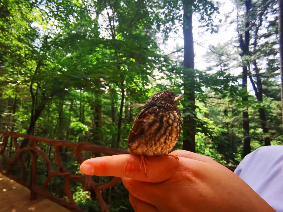 d847a4d3a964d41853cfd410b2992c0e.jpg d847a4d3a964d41853cfd410b2992c0e.jpg