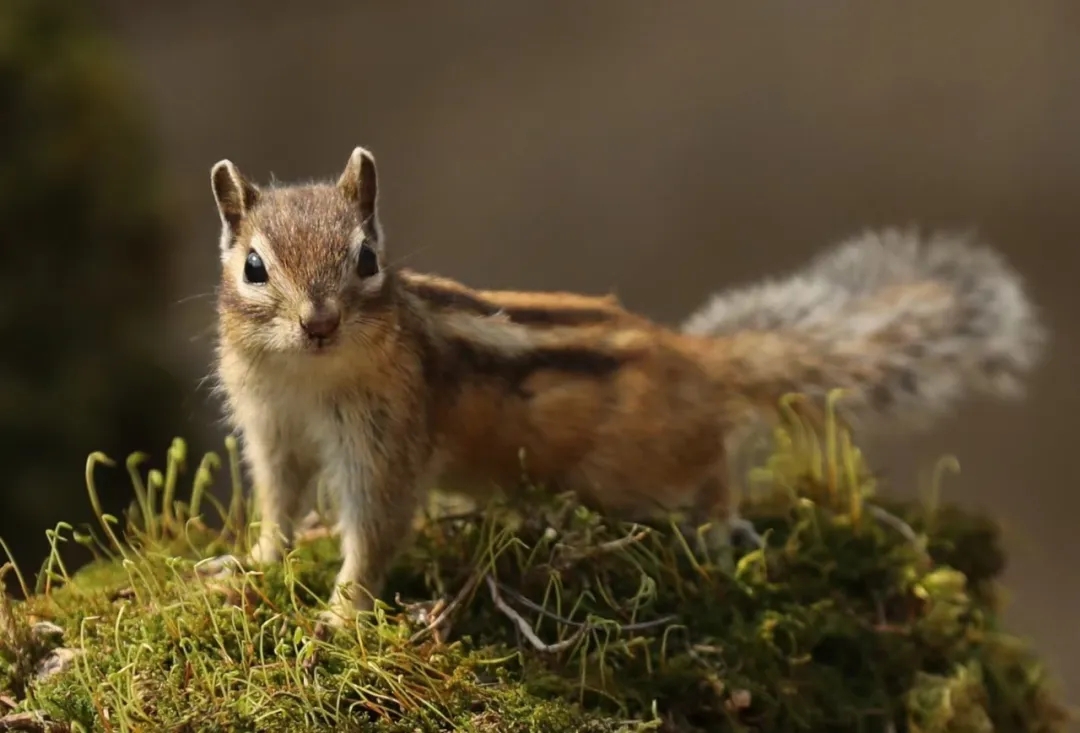 bbc342b6f72cd7c5258182ded67165b9.jpg bbc342b6f72cd7c5258182ded67165b9.jpg