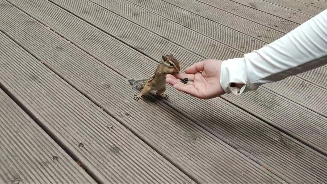 5973fa8eec03af7244f0df0a5ff23ee0.png 5973fa8eec03af7244f0df0a5ff23ee0.png