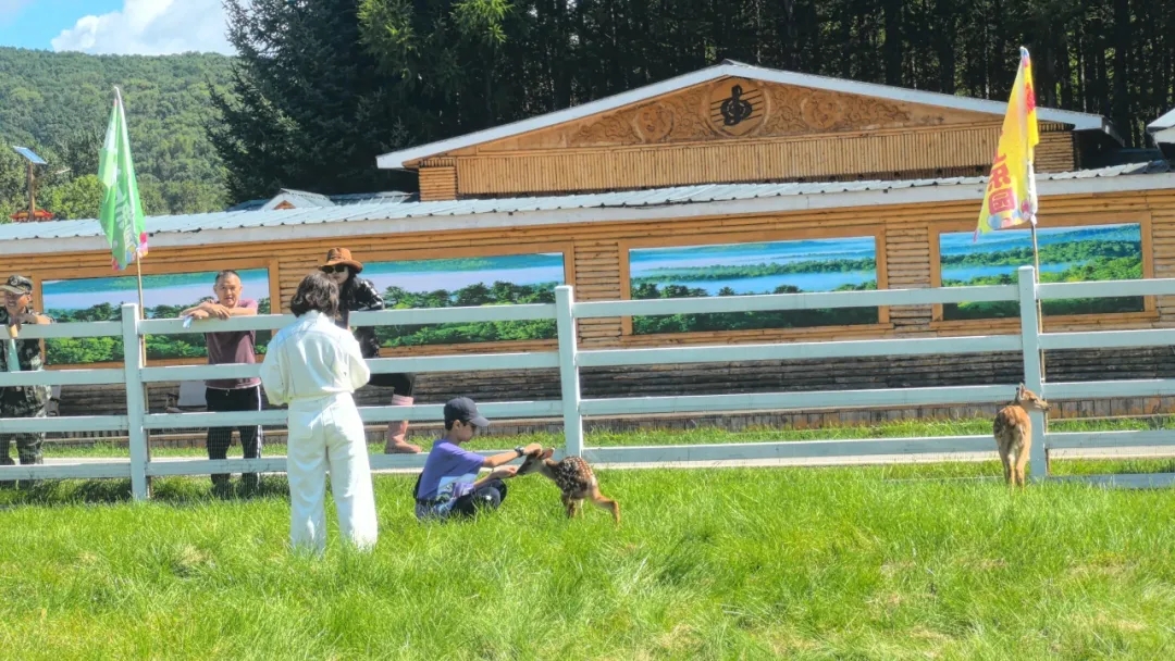 a63f1bc1f25bfa4d7aab95f7288e0299.jpg a63f1bc1f25bfa4d7aab95f7288e0299.jpg