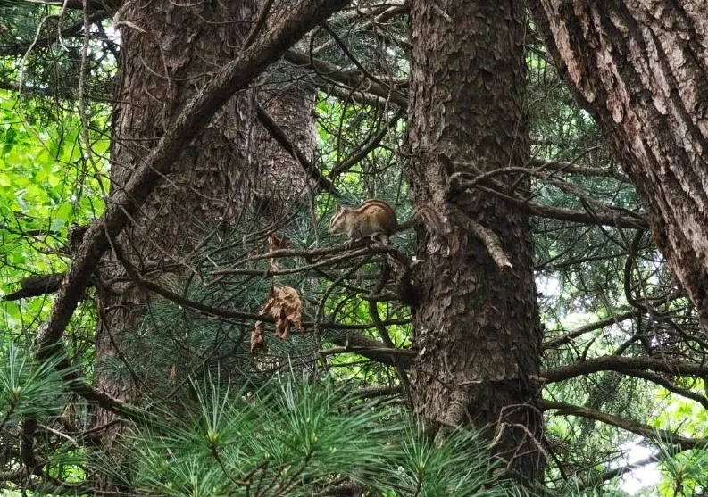 22ae04b383f3700ee73ff8b5346c10dc.jpg 22ae04b383f3700ee73ff8b5346c10dc.jpg