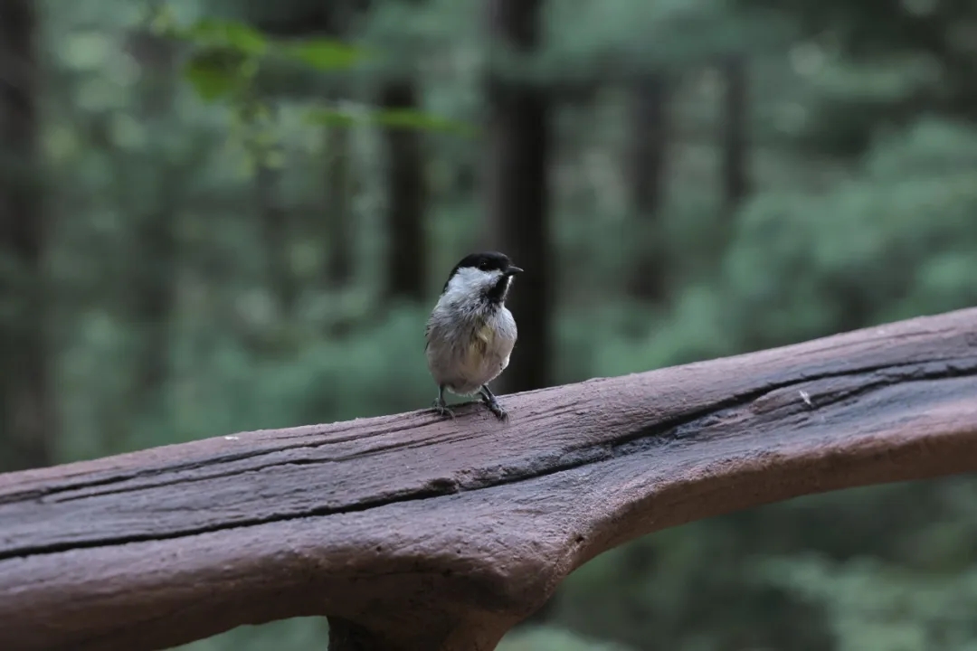 8f504e4e136dc39454245522c38e3756.jpg 8f504e4e136dc39454245522c38e3756.jpg