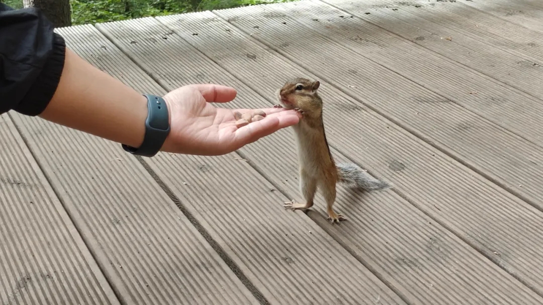 aed45d9ac5ae9e514d3c2b7a9ded99fb.jpg aed45d9ac5ae9e514d3c2b7a9ded99fb.jpg