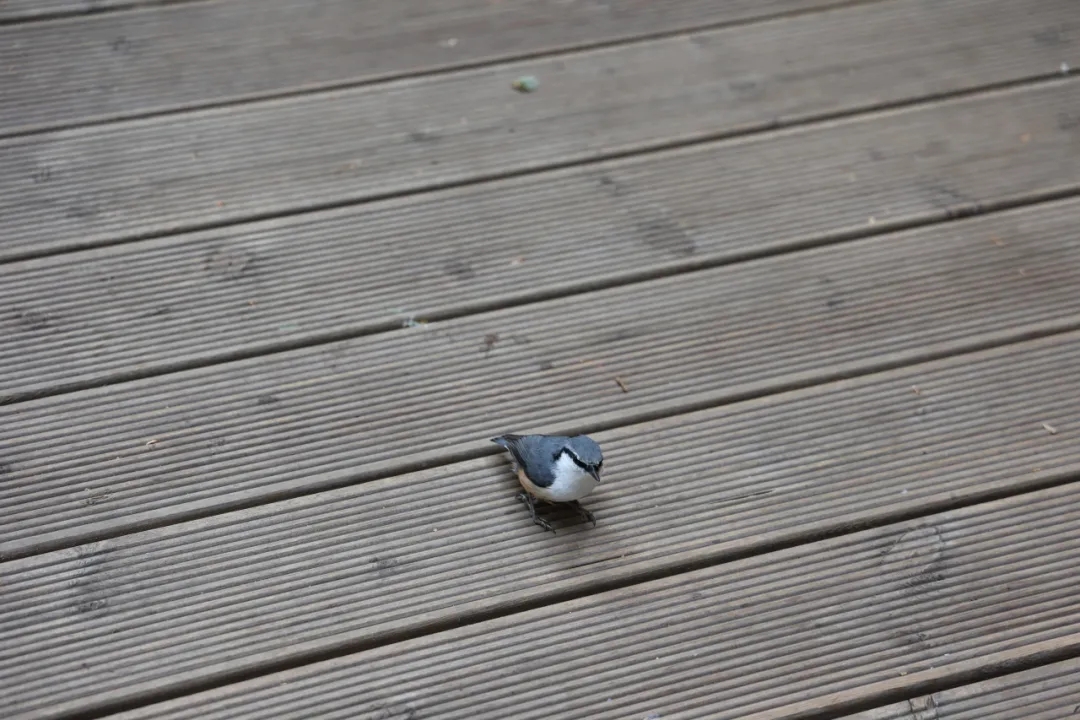 afc53e547c1fe52c65eb4101c5db9f18.jpg afc53e547c1fe52c65eb4101c5db9f18.jpg