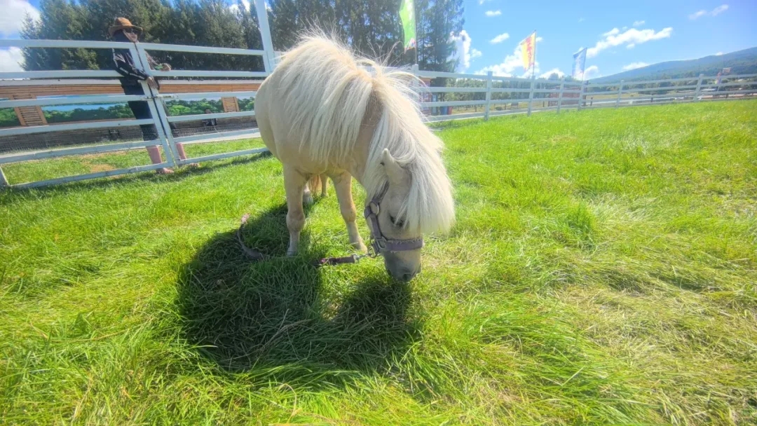 4589be01e7e8673c4ef251ff74b9f87a.jpg 4589be01e7e8673c4ef251ff74b9f87a.jpg